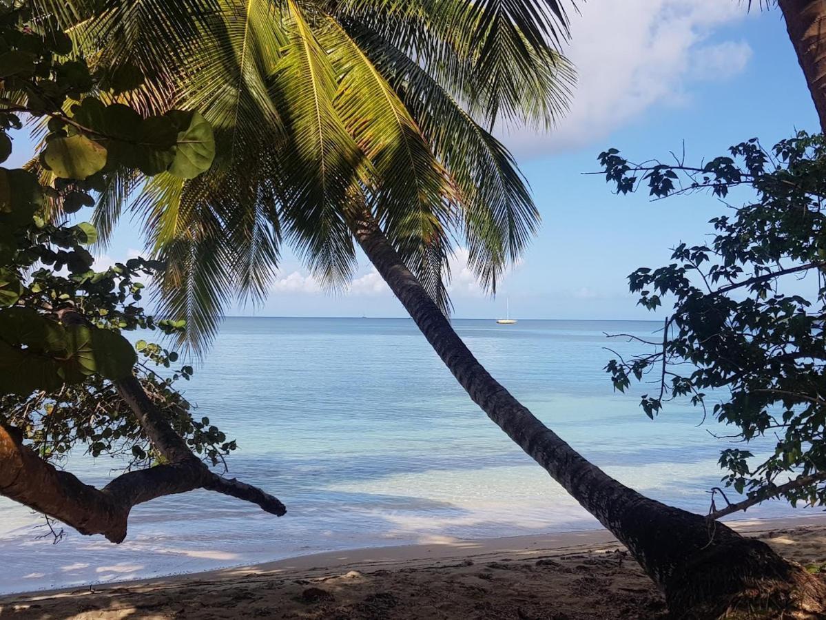 Residence Kawann Plage & Piscine - Hamaca 102 Folle Anse Zewnętrze zdjęcie